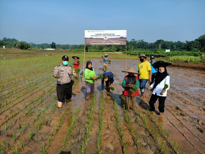 Polsek Cileungsi