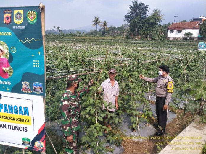 Bhabinkamtibmas Polsek Ciampea Bersama Babinsa, Pengecekan rutin Kampung Tangguh Lodaya Di Desa Gunung Mulya.